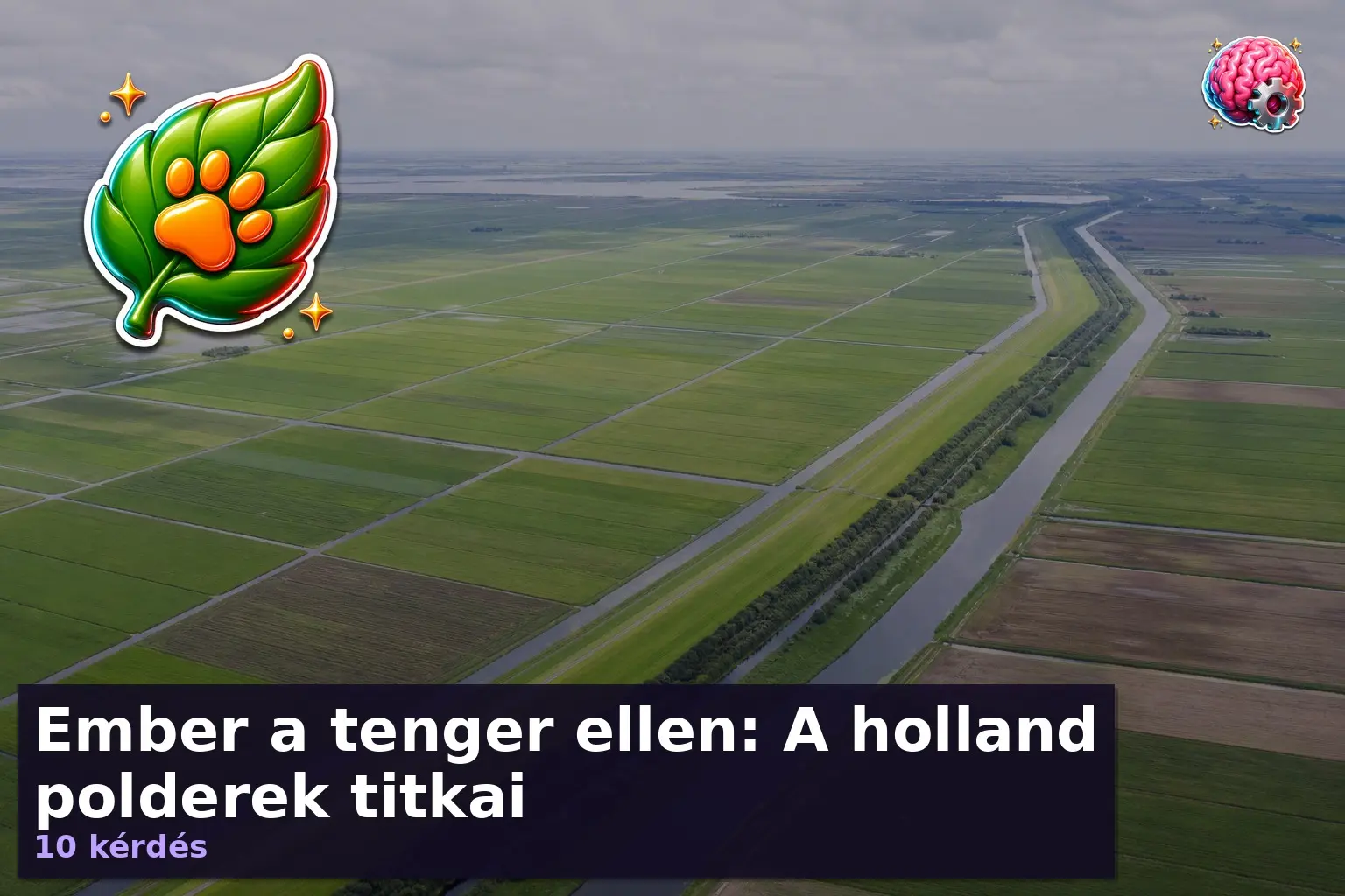 holland polderek kviz 1785746215879