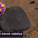 icai kovek kviz 1786085620980