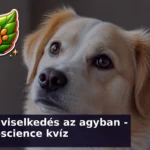 kutyaviselkedes kviz agy 1788001973330
