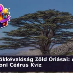 libanoni cedrus kviz 1785755061819