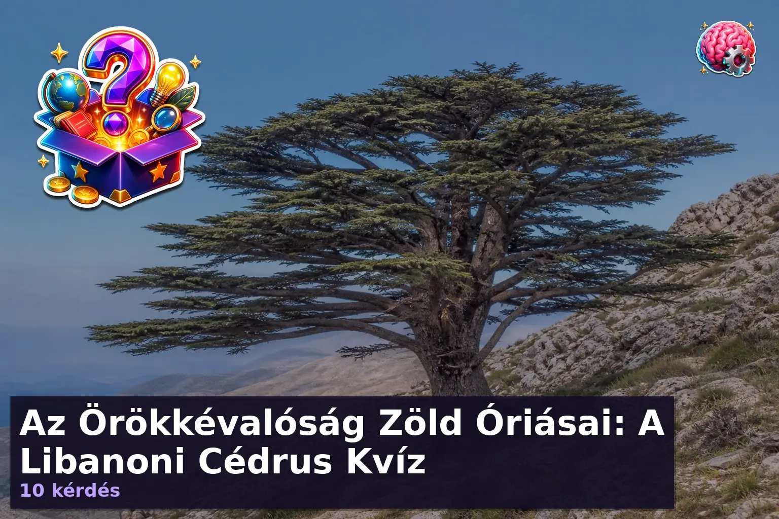 libanoni cedrus kviz 1785755061819