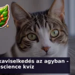 macskaviselkedes kviz agy 1788001792126