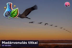 Madárvonulás titkai