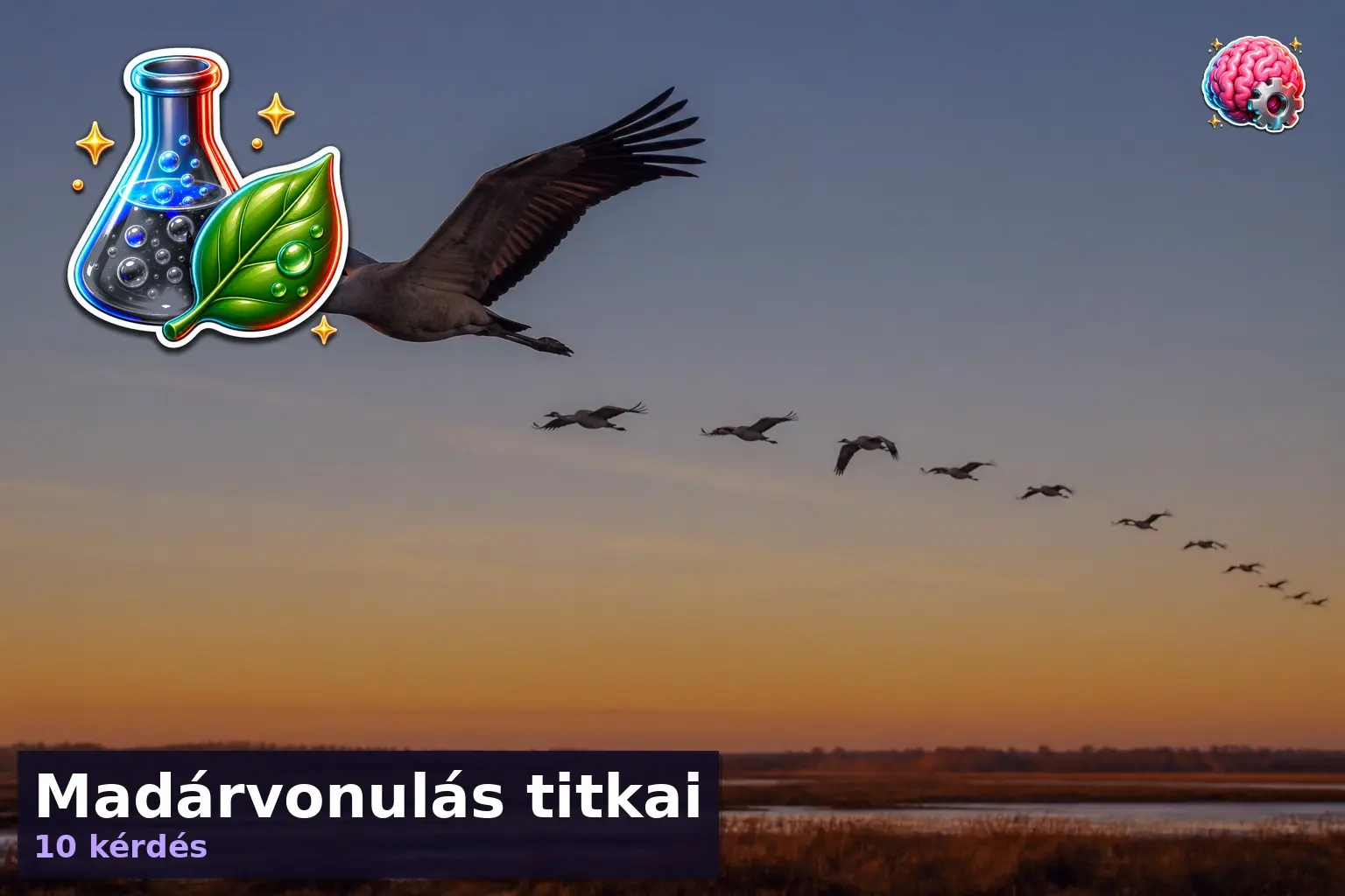 madarvonulas kviz