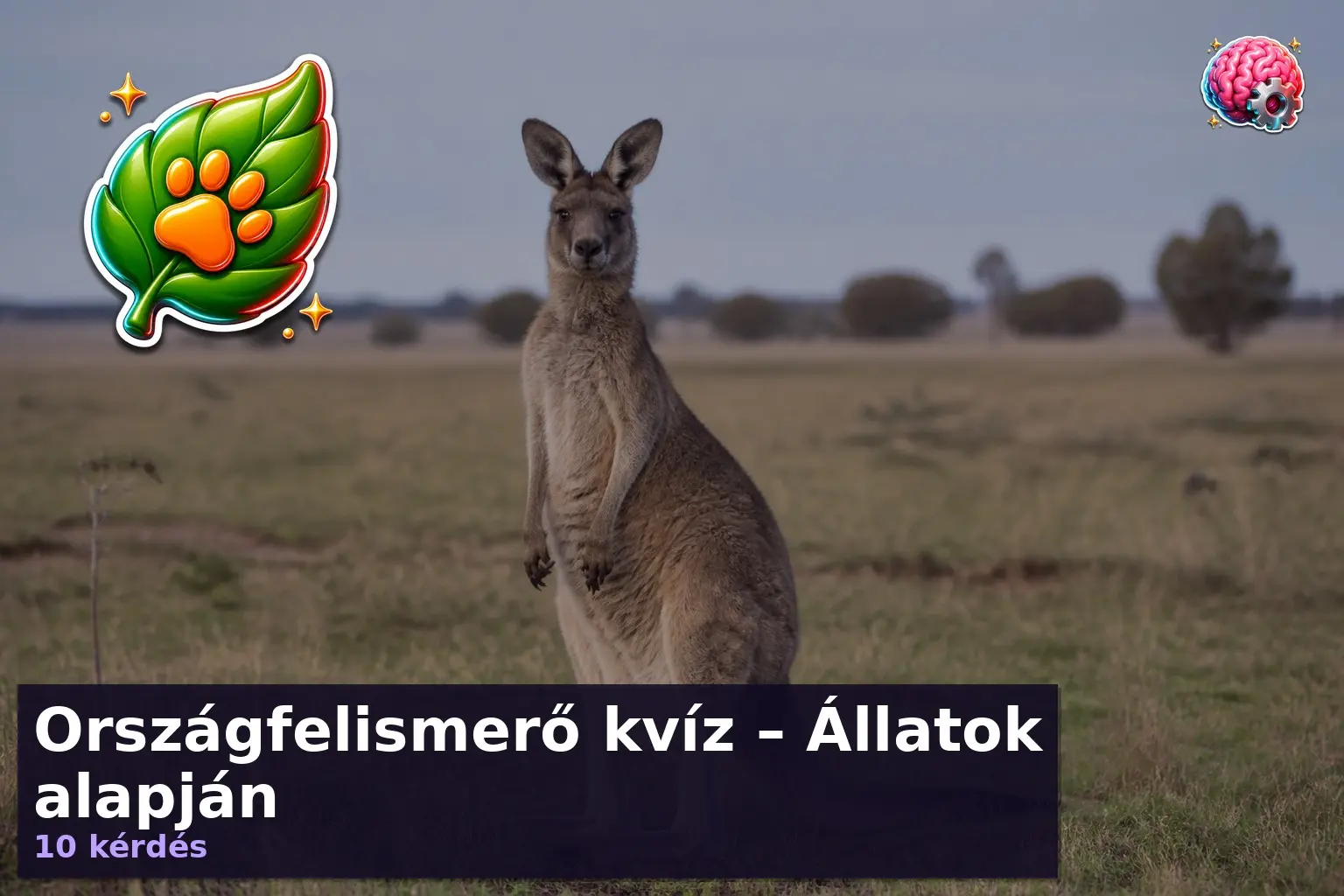 Országfelismerő kvíz – Állatok alapján 1 orszagfelismero kviz allatok alapjan 1787886210435
