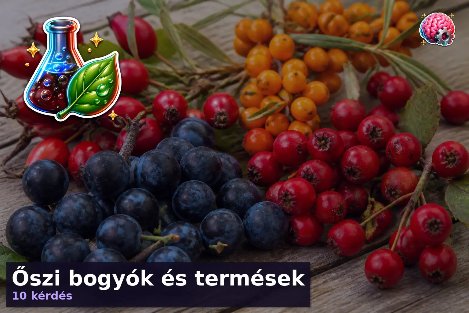 Őszi bogyók és termések 1 oszi bogyok kviz
