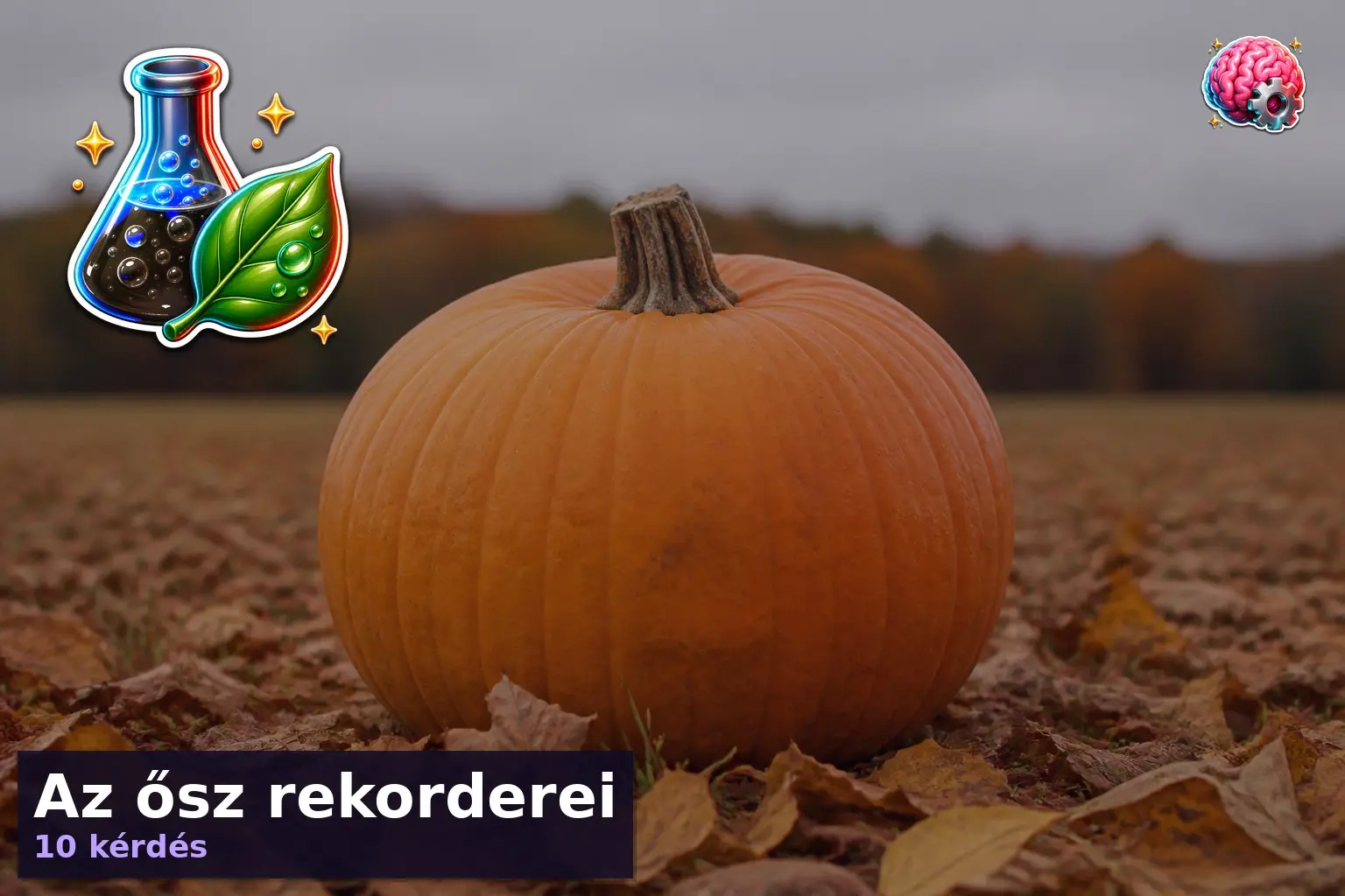 Őszi rekordok kvíz témájú hatalmas óriástök