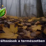oszi termeszet kviz
