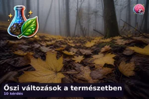 Őszi változások a természetben