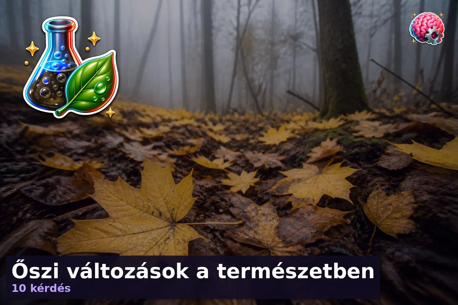 Őszi természet kvíz hangulatú sárga levelek az avaron