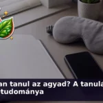 tanulas agy kviz 1787834745009