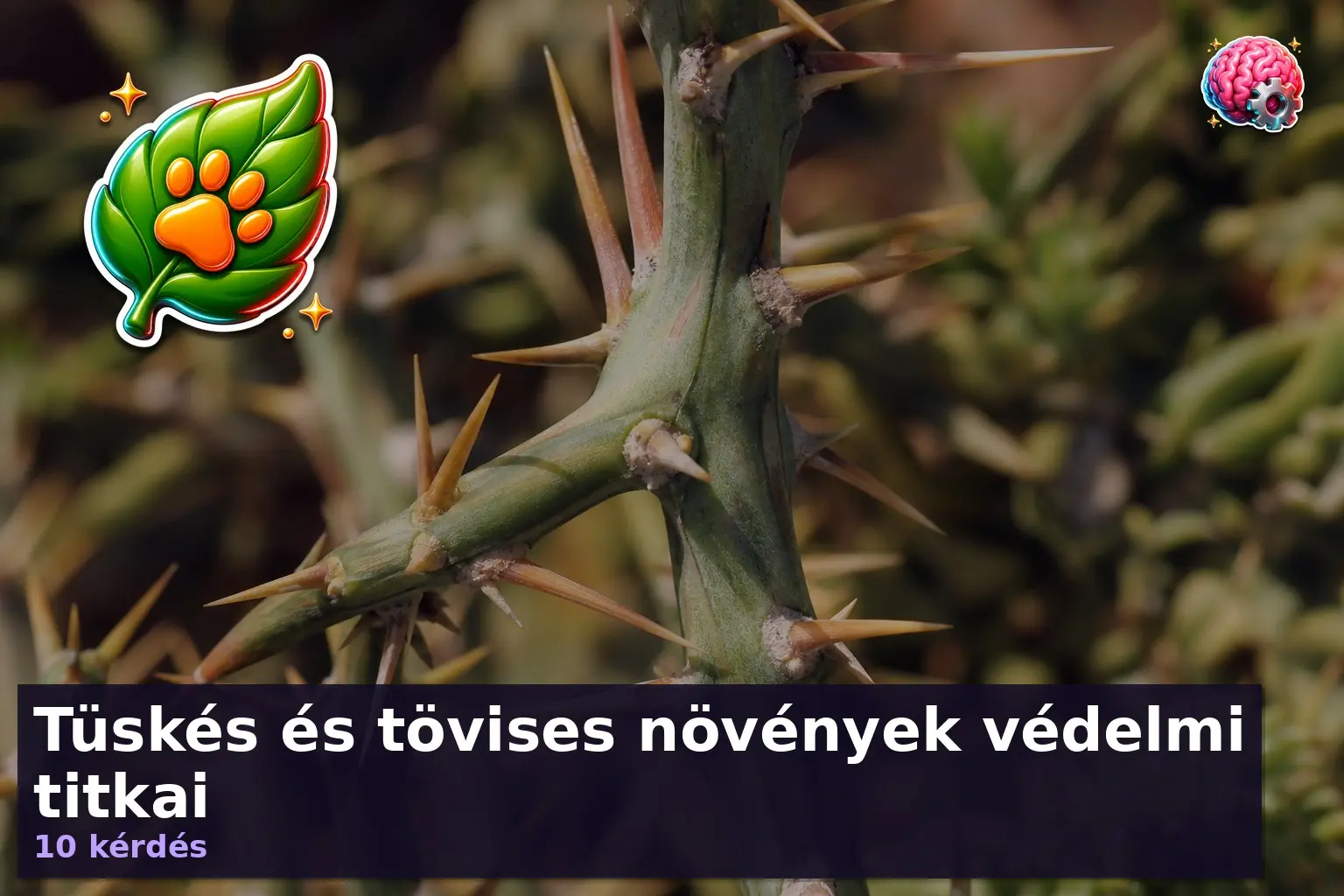 Tüskés és tövises növények védelmi titkai 1 tuskes novenyek kviz 1785728242591