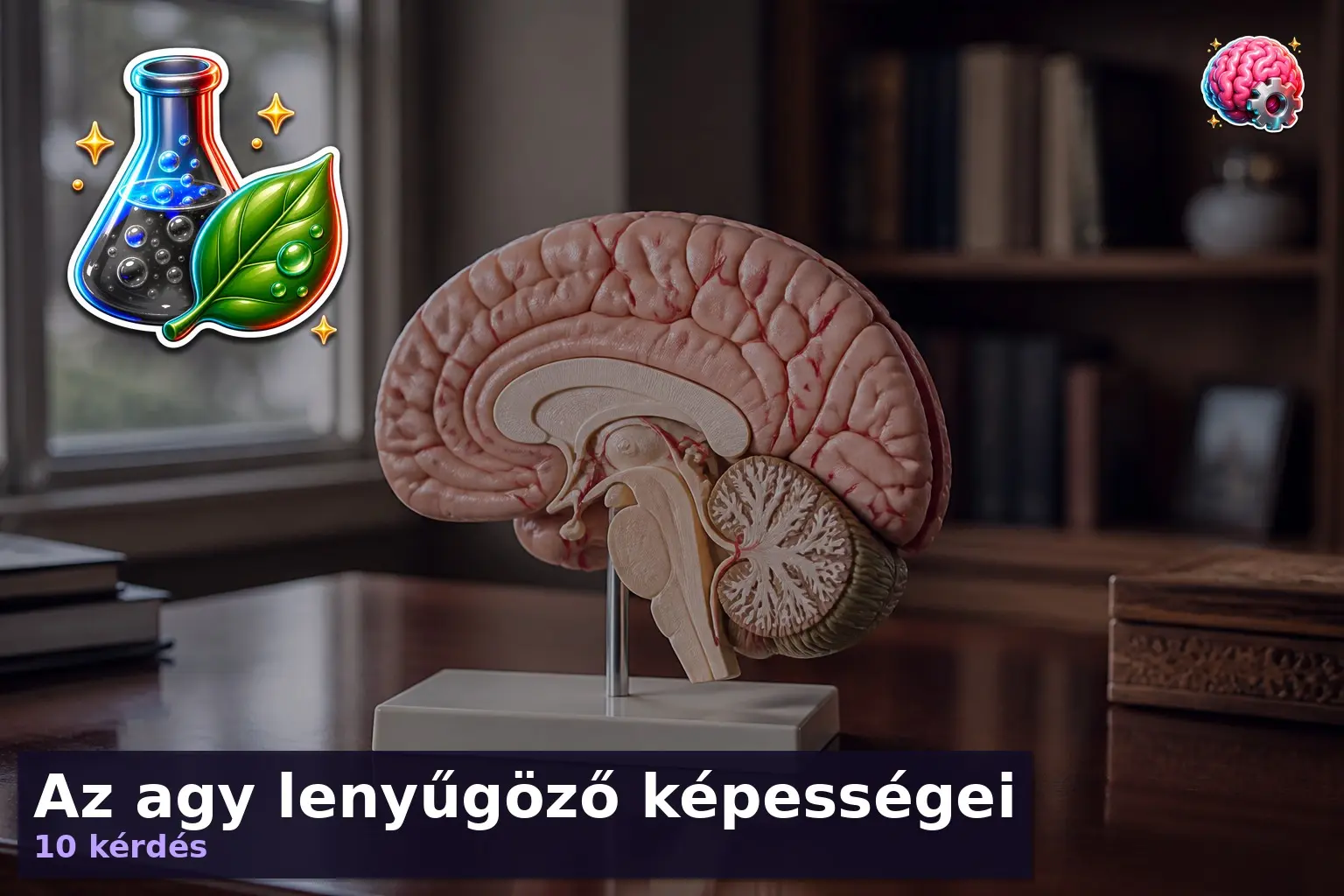 agy kviz
