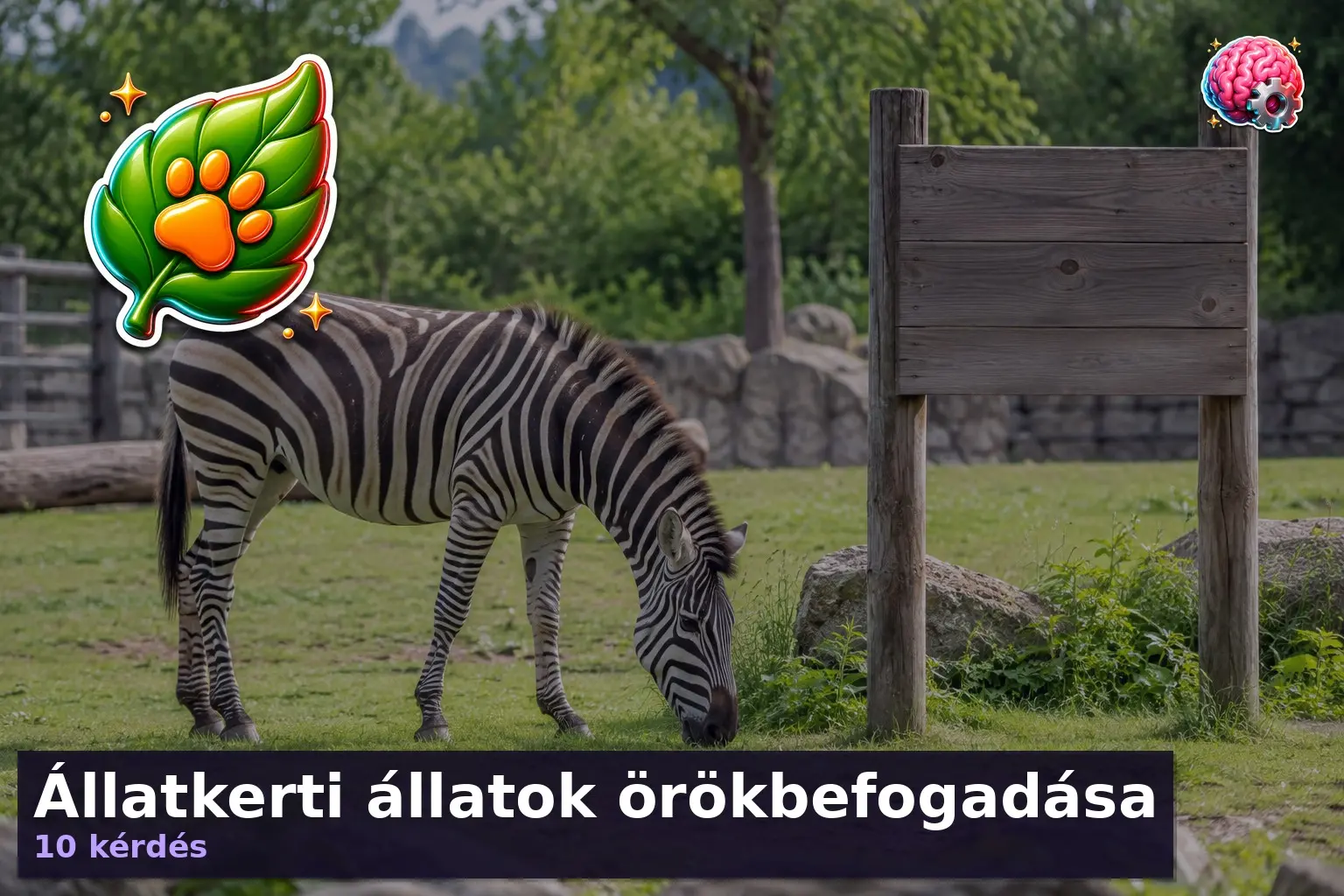 allatkerti allatok orokbefogadasa kviz 1789636578413