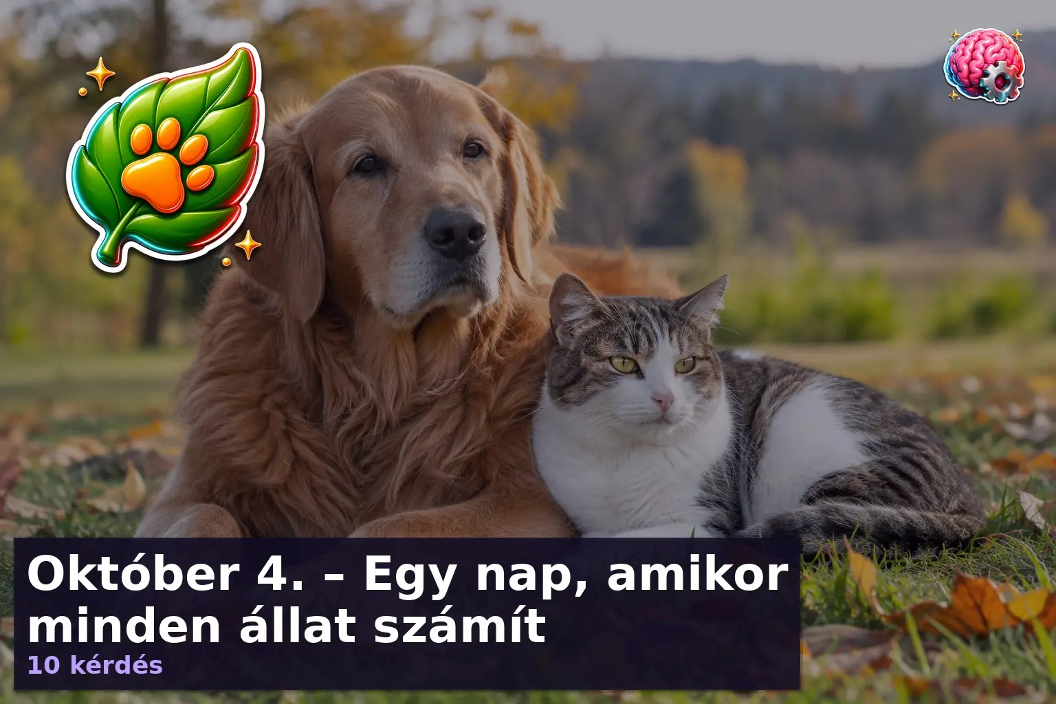 Kutya és macska pihen együtt az állatok világnapja alkalmából