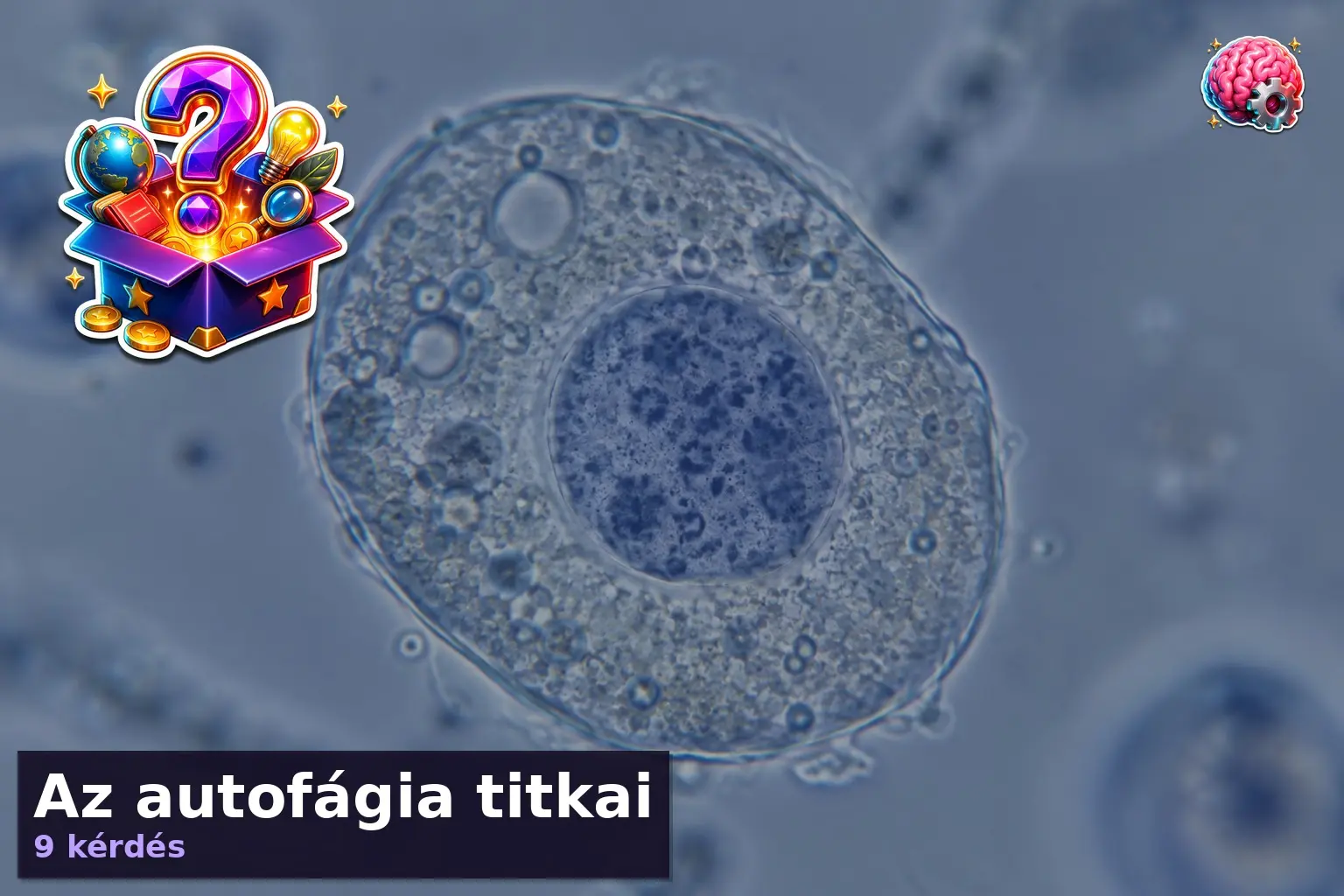 Az autofágia titkai 1 autofagia kviz 1789549858233