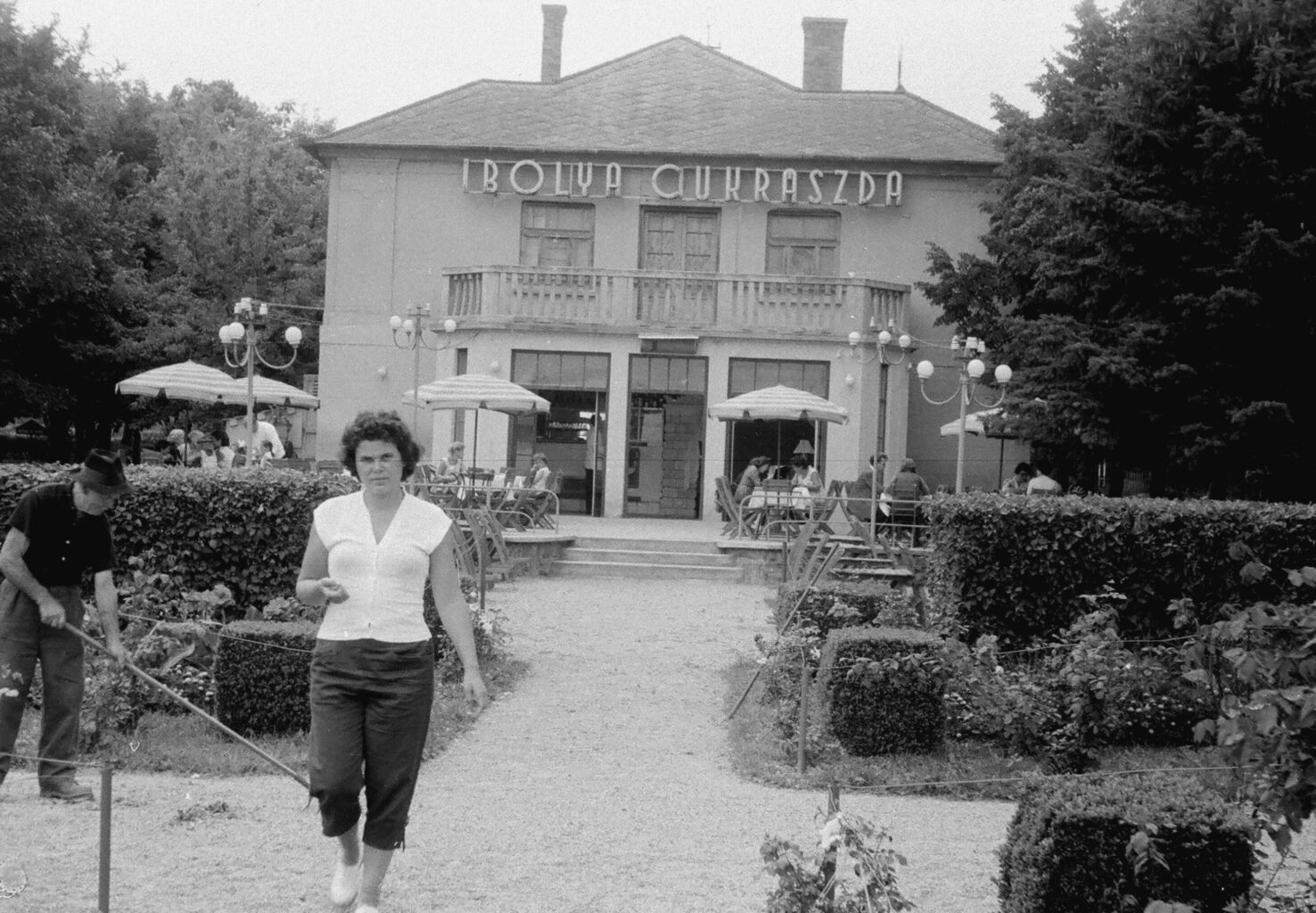 Ibolya cukrászda, 1959