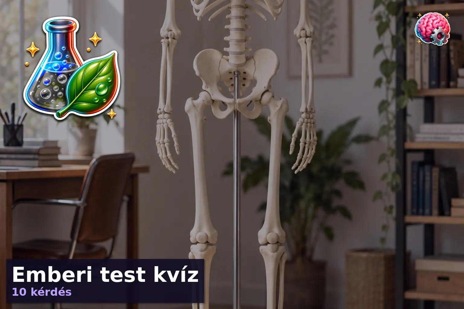 emberi test kviz 1789638875063
