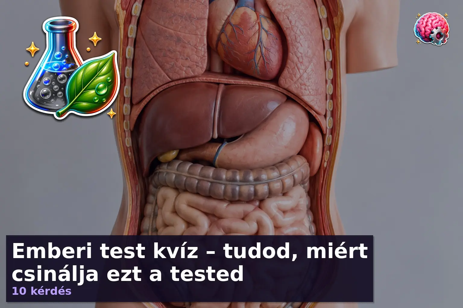 Emberi test kvíz – tudod, miért csinálja ezt a tested 1 emberi test kviz 1789890648509
