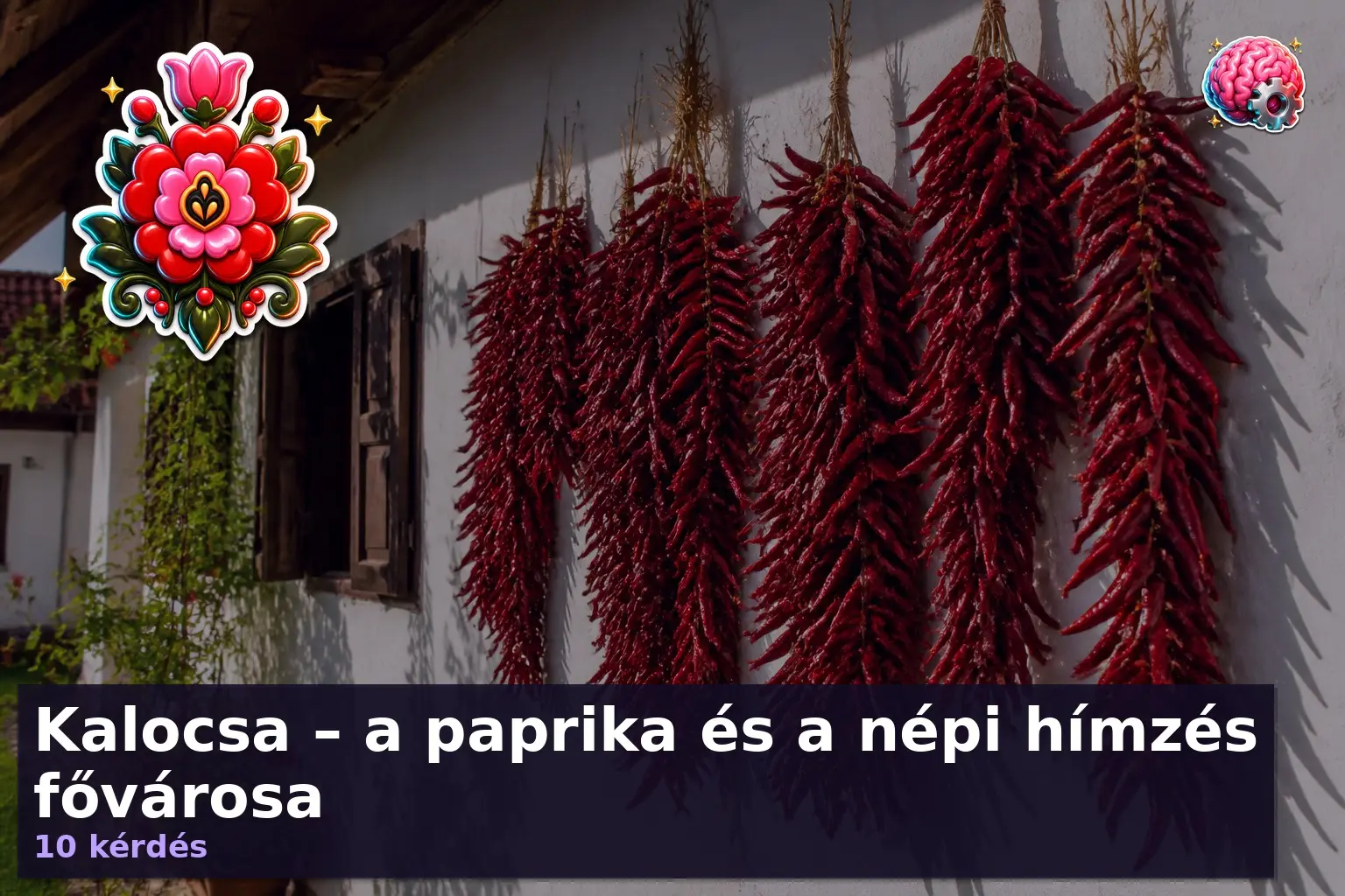 kalocsa kviz