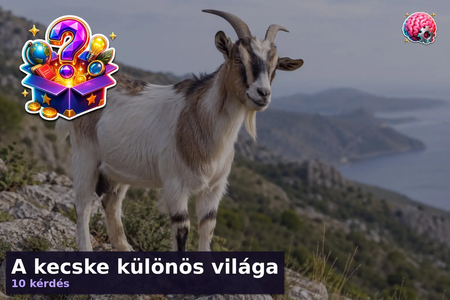 kecske kviz 1789388654206