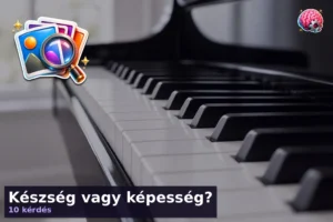 Készség vagy képesség? 13 Készség vagy képesség?