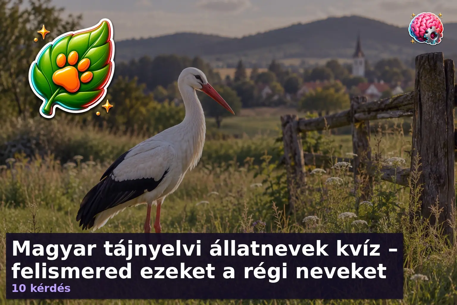 Magyar tájnyelvi állatnevek kvíz – felismered ezeket a régi neveket 2 Gólya magyar vidéki tájban – magyar tájnyelvi állatnevek kvíz