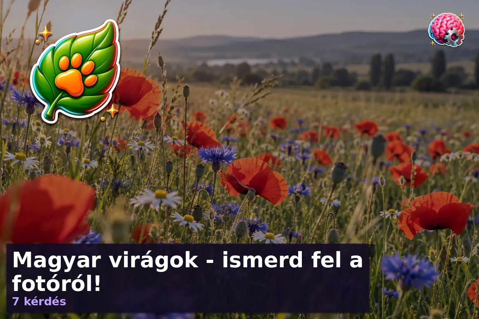 magyar viragok kviz 1789190040138