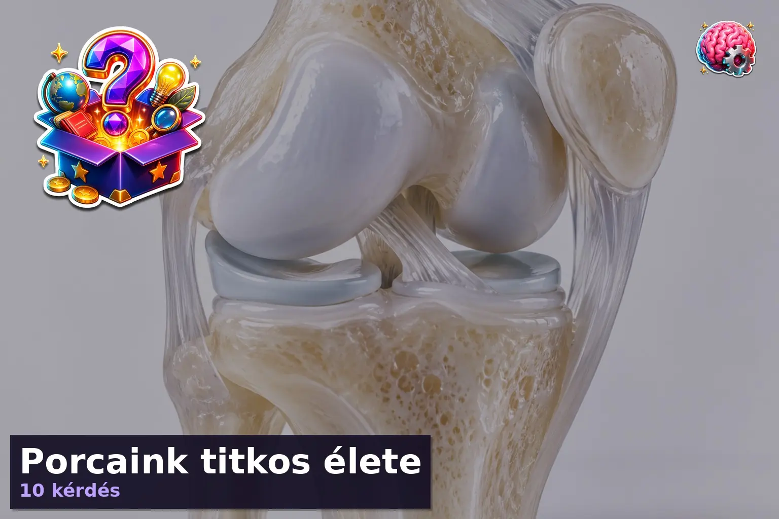 porcaink titkos elete 1789636774188