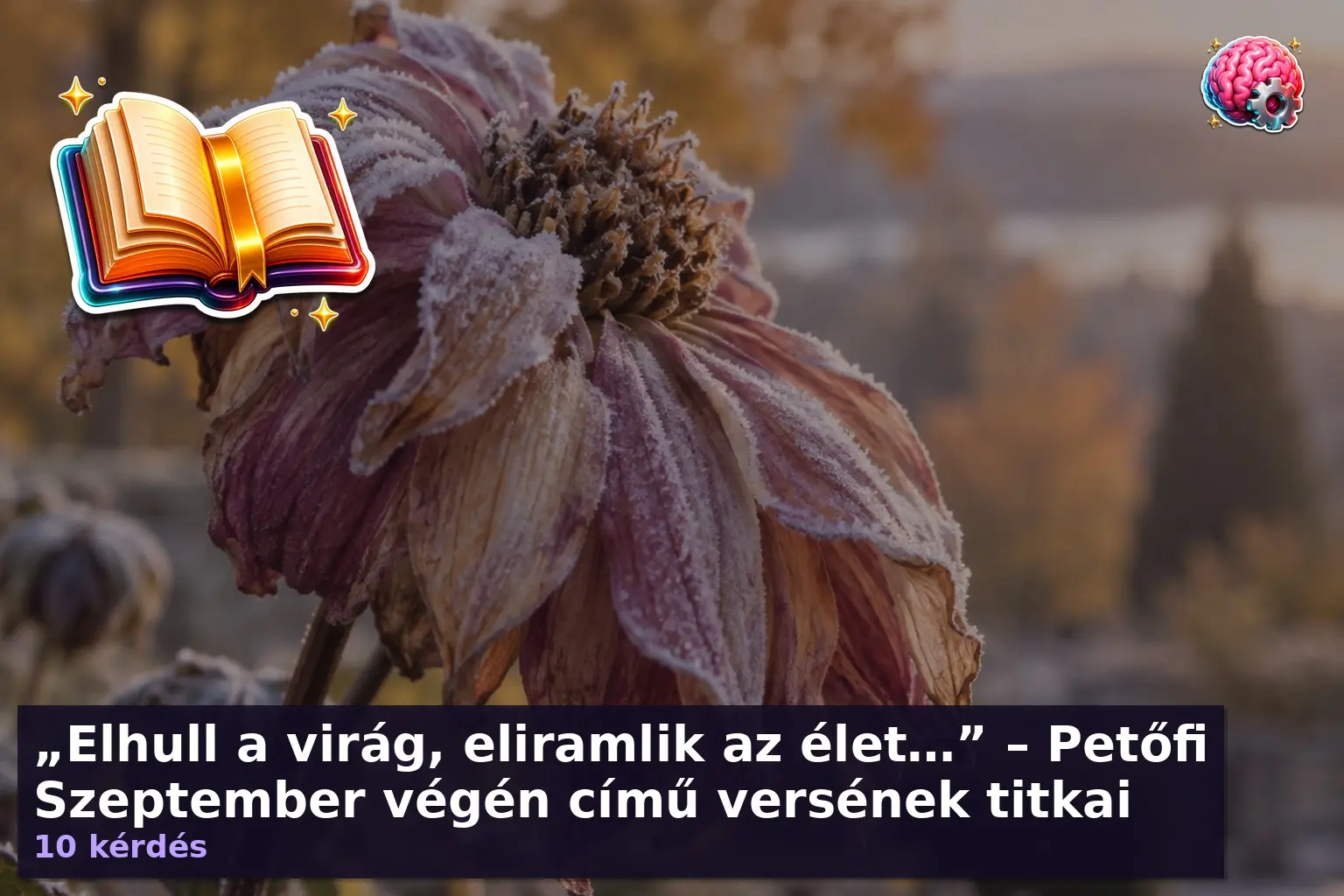 „Elhull a virág, eliramlik az élet…” – Petőfi Szeptember végén című versének titkai 1 szeptember vegen kviz 1789359168214