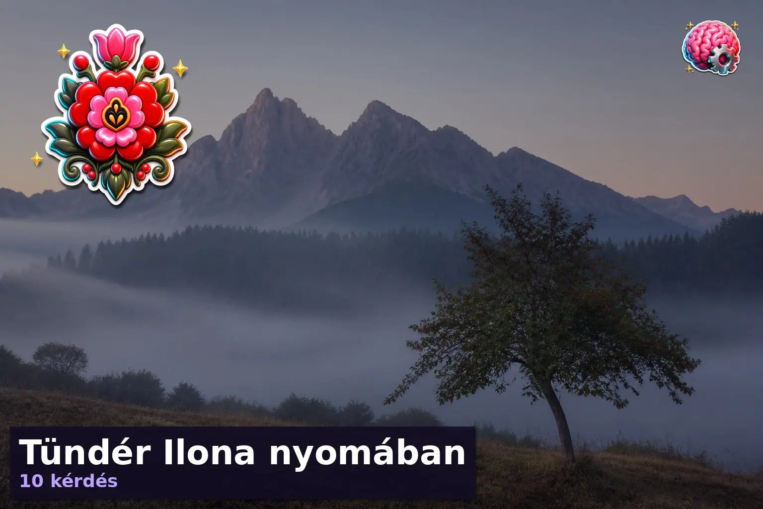 tunder ilona kviz