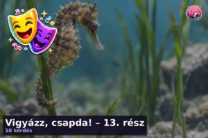 Vigyázz, csapda! – 13. rész 25 Vigyázz, csapda! – 13. rész