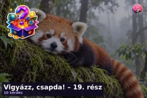 Vigyázz, csapda! – 19. rész