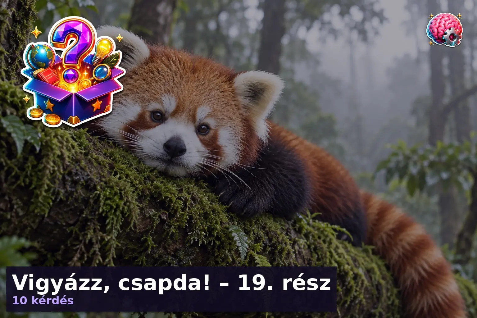 Vigyázz, csapda! – 19. rész 1 vigyazz csapda kviz 19 resz 1789630159343