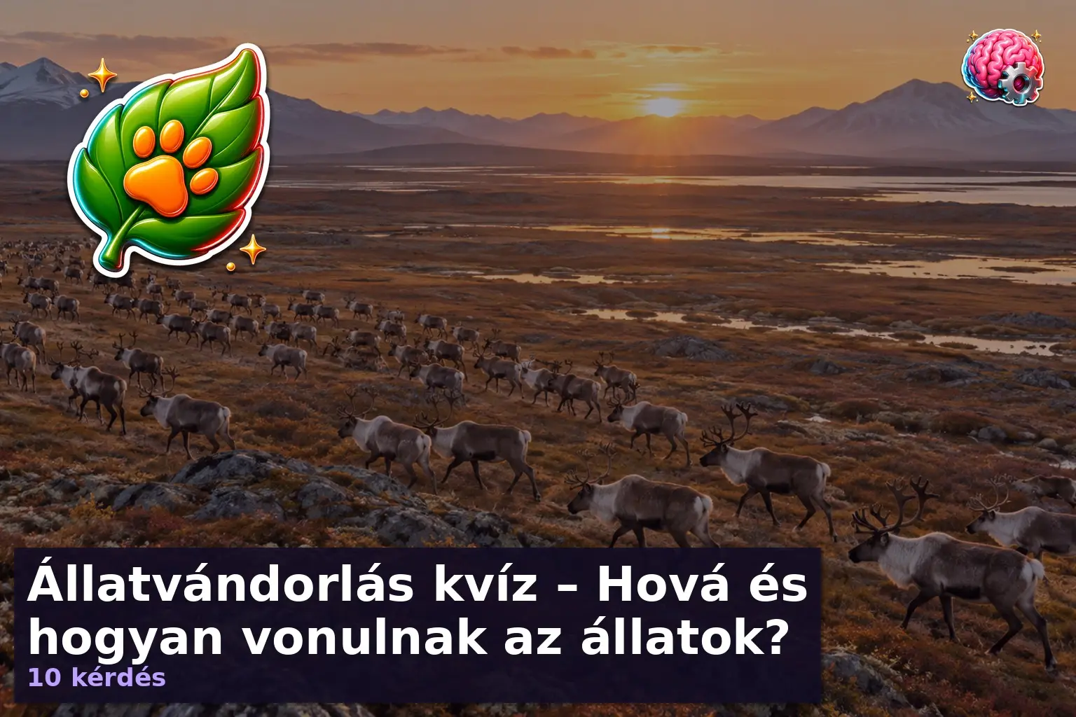 Állatvándorlás kvíz illusztráció: rénszarvas csorda vándorlása a tundrán
