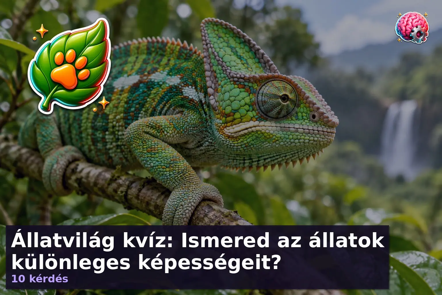 Állatvilág kvíz - kaméleon közelképe ágon