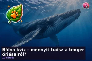 Bálna kvíz – mennyit tudsz a tenger óriásairól? 10 Bálna kvíz – mennyit tudsz a tenger óriásairól?