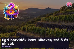 Egri borvidék kvíz: Bikavér, szőlő és pincék