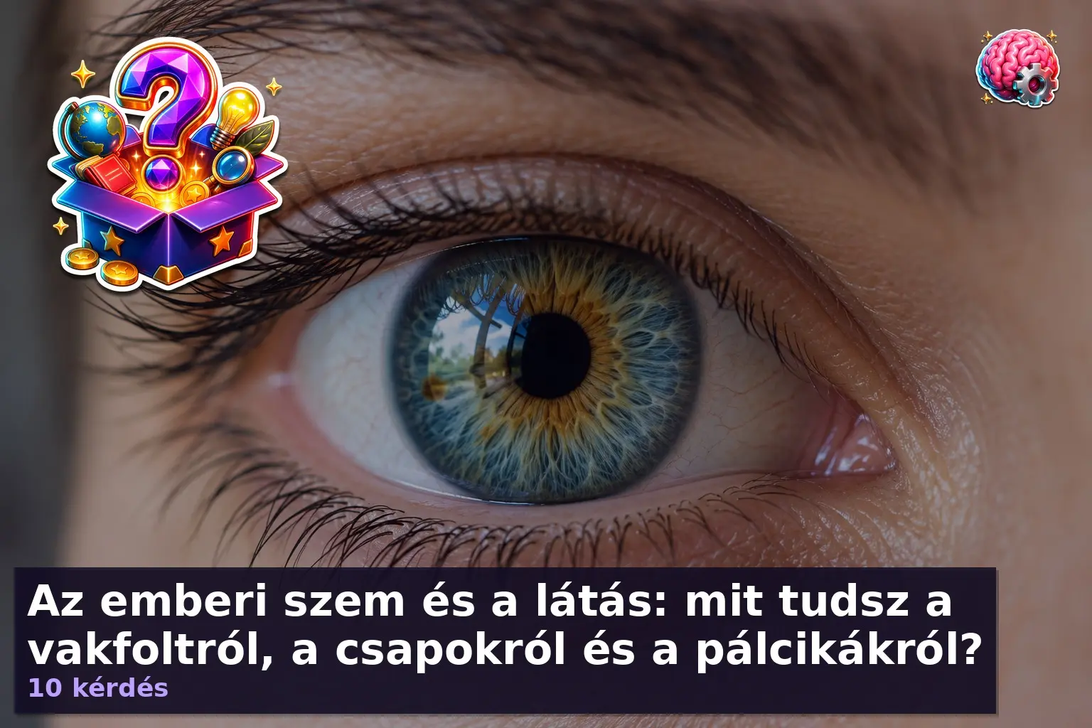 emberi szem kvíz illusztráció – szem közeli képe