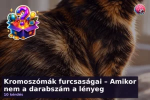 Kromoszómák furcsaságai – Amikor nem a darabszám a lényeg