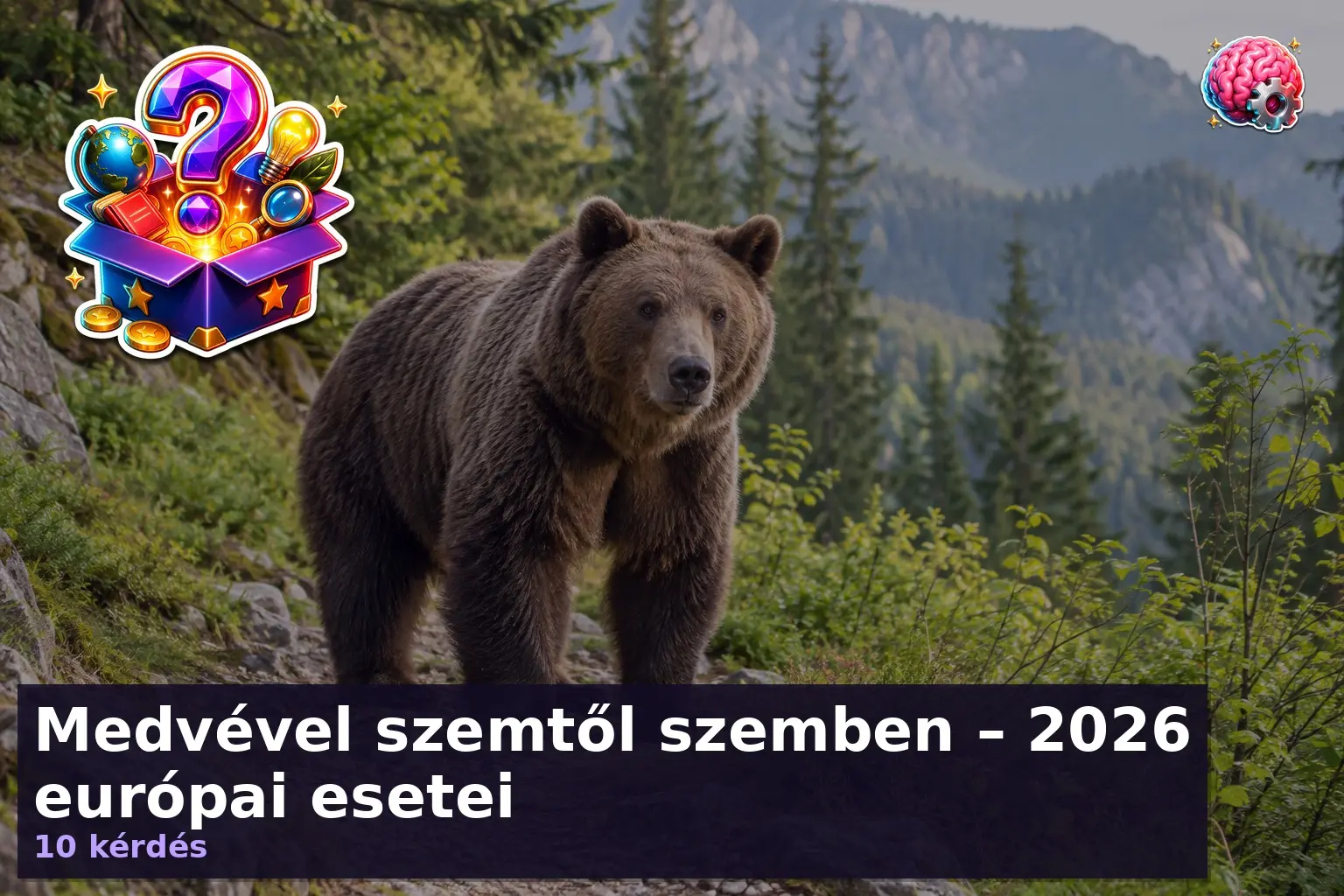 Medvetámadás kvíz illusztráció: barnamedve európai erdei ösvényen